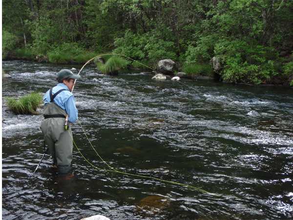 Fishing Report Image