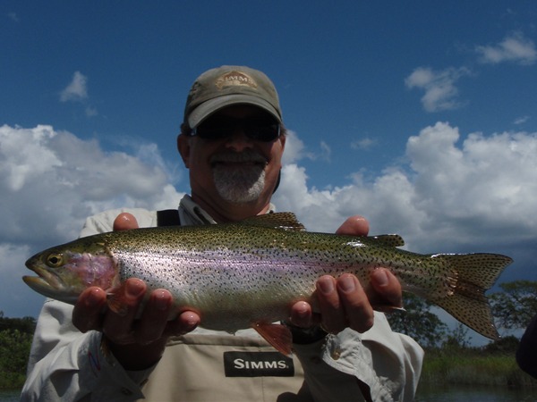 This one ate a nymph