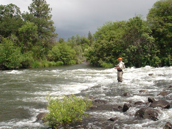 The Pit that spanked us