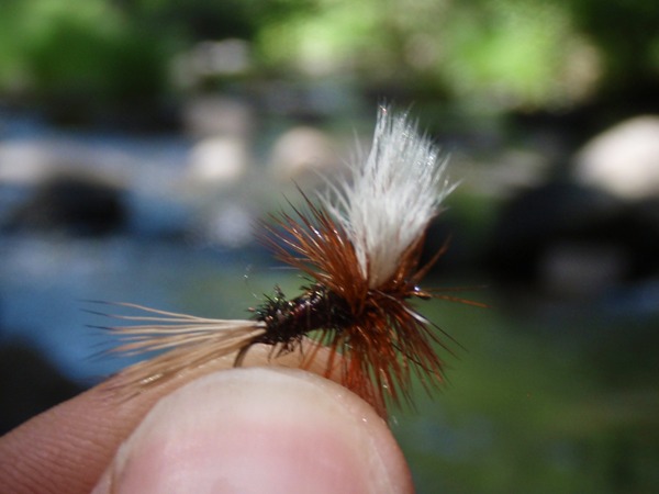 This worked all afternoon