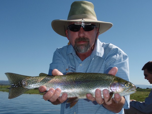 Dave with a Fall River toad