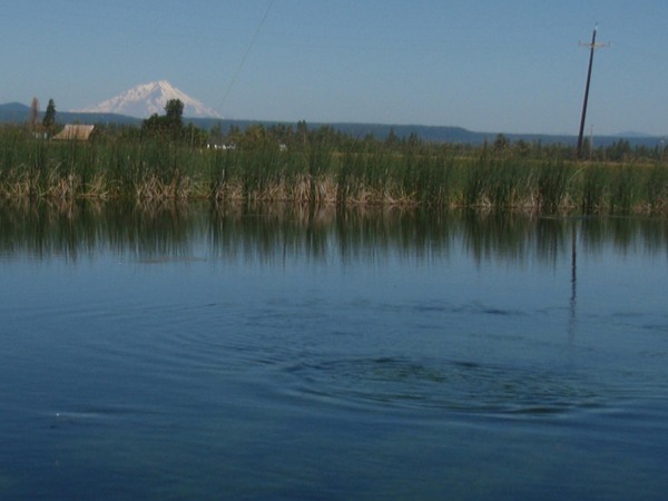 Big Rainbow on the line in front of Mt. Shasta.