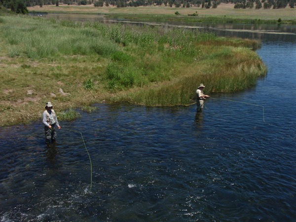 Keeping cool on a hot day