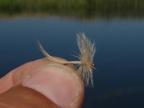 This one didn't work