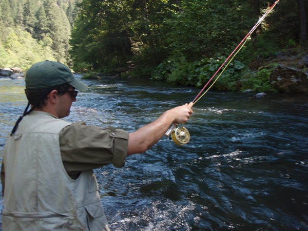 High-sticking the McCloud