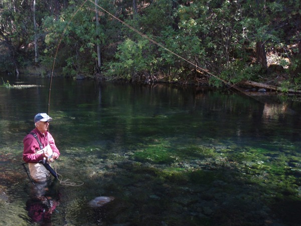 Cliff on Burney Creek