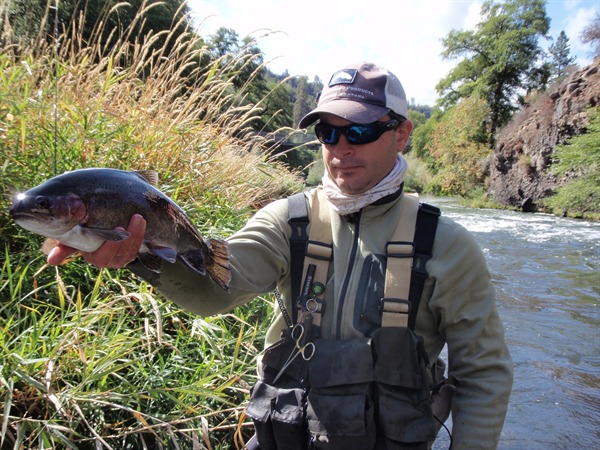 Superb Pit River Rainbow caught by Bob Town