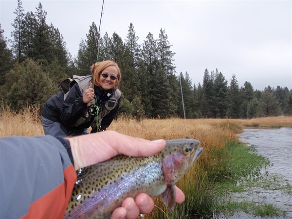C.C. with a superb wild bow
