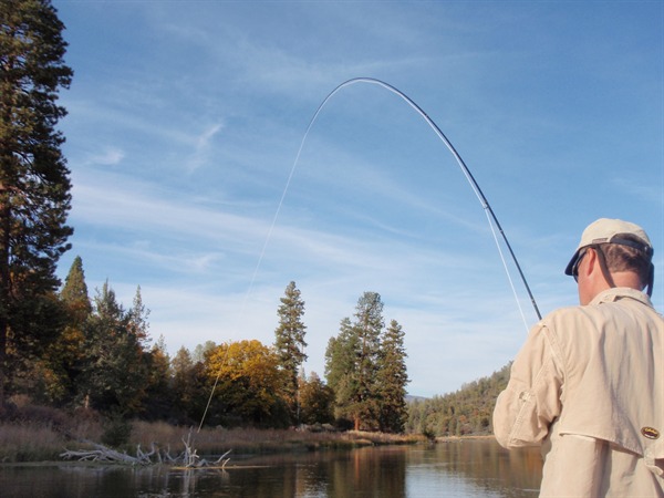 Tad hooked up with a big bow hooked on a leech