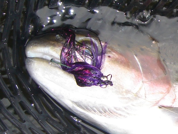 Open mouth, insert Dirk Wiggler