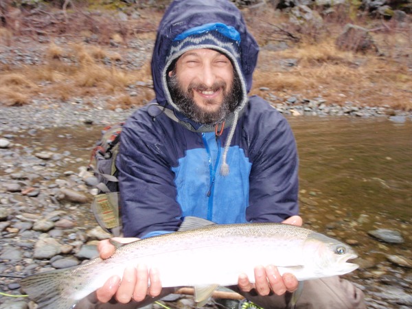 Alex Ferber's wild hen