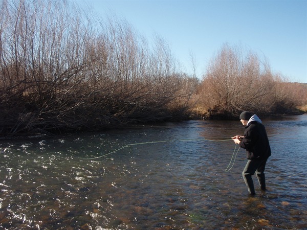 Wading was productive