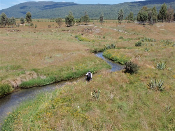 I found a new spring creek..epic