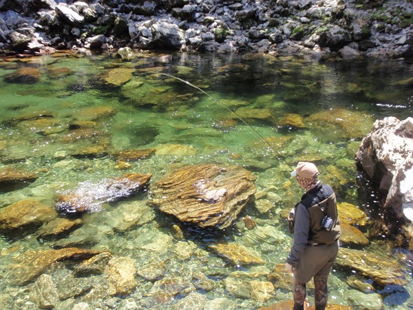 Steve from Idaho, in Heaven