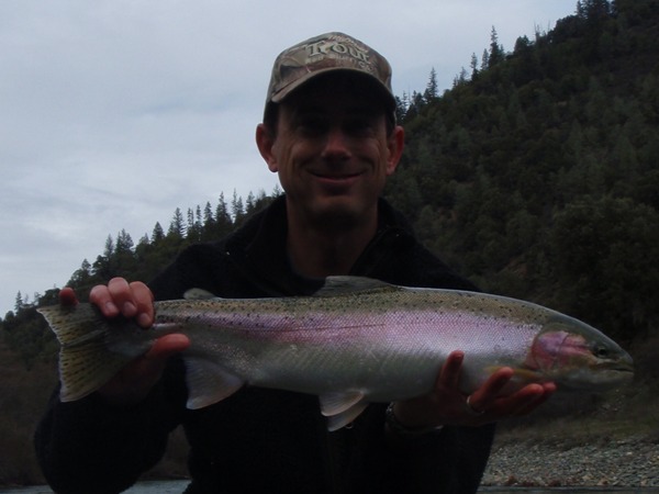 I hogged all the fish today