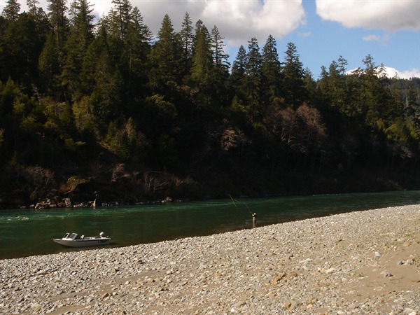 Ken Cochrane searching for the one