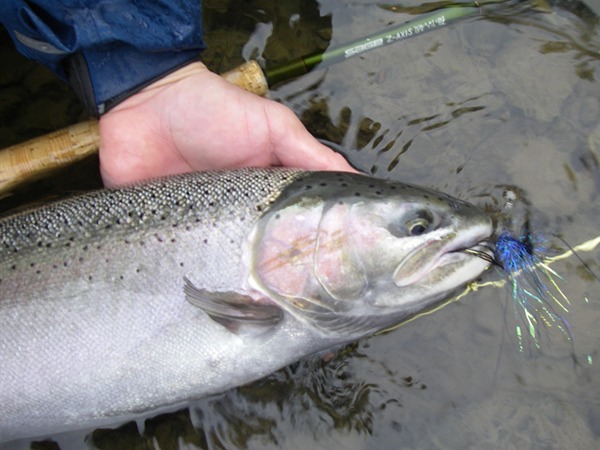 Fishing Report Image