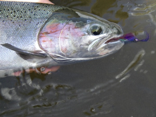 Fishing Report Image