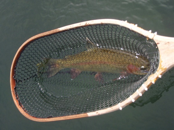Jim's first big fish.