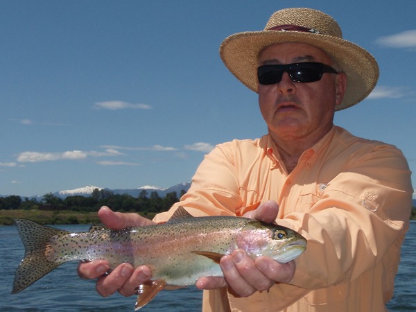 Crane with a nice fish