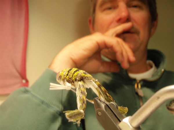 The innovator in contemplation