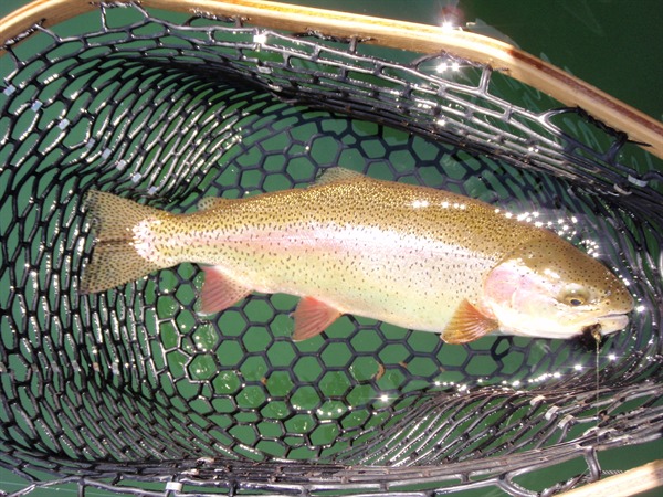 Somewhere in the Fall River valley