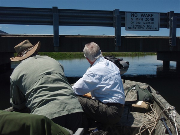 Going under the bridge