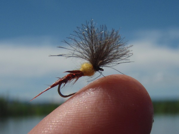 They ate this one a bunch