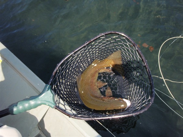 Dean's insane fish..are you serious?