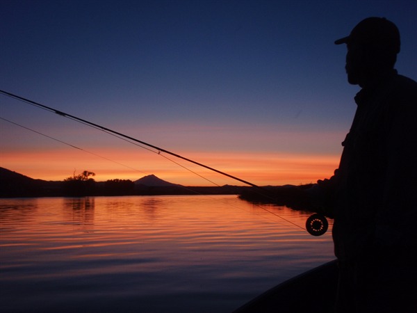 Golden light moment before the hatch