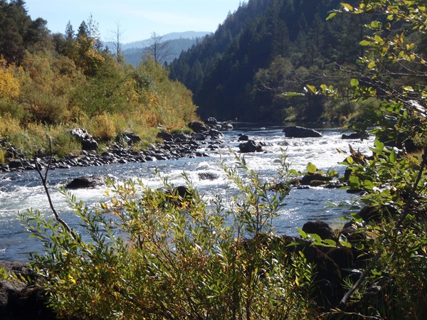 Summertime on the Trinity