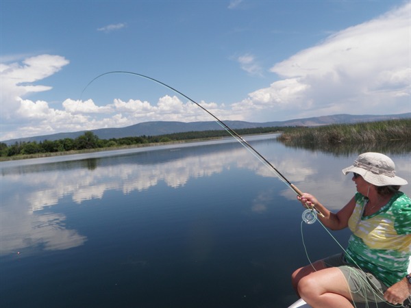 Fall River fish into backing