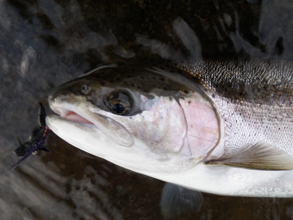 Head shot with POM skater