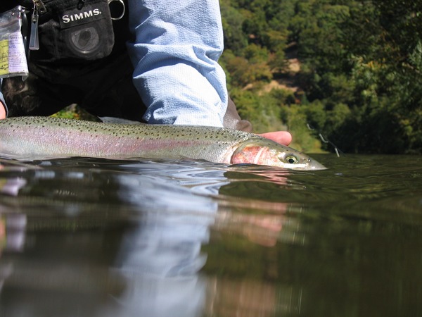 October in Nor Cal is my favorite month