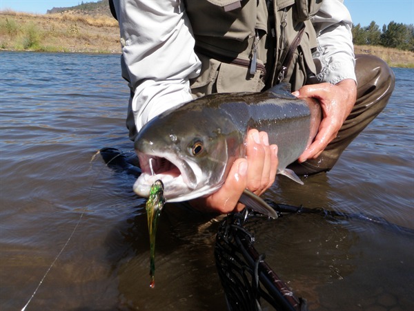 Yes that's a Dirk Wiggler