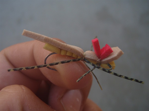 We got a huge grab on this fly today!