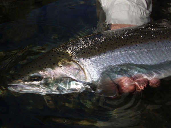 Fishing Report Image