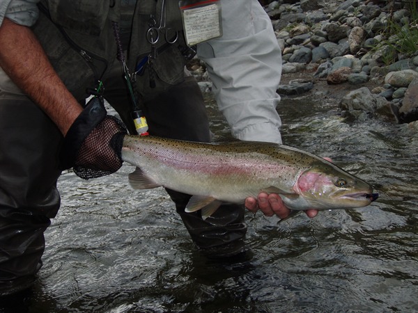 Fishing Report Image