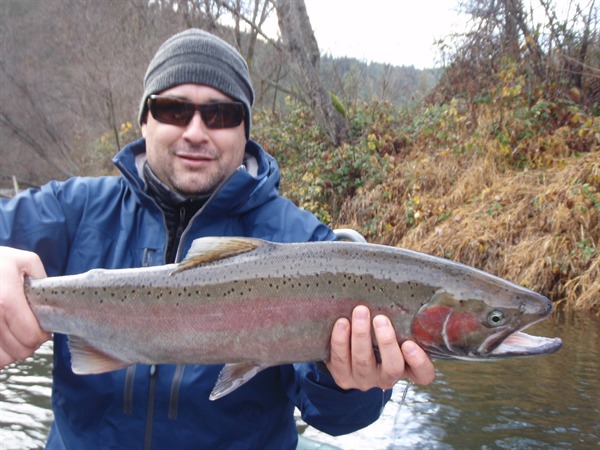 Mike Miranda..reading this fish's rights