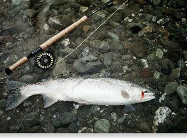 Don't forget you spey rod