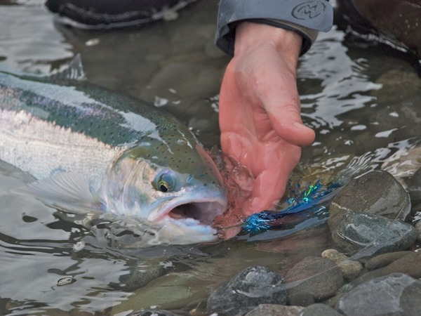 Yes they are all this chrome