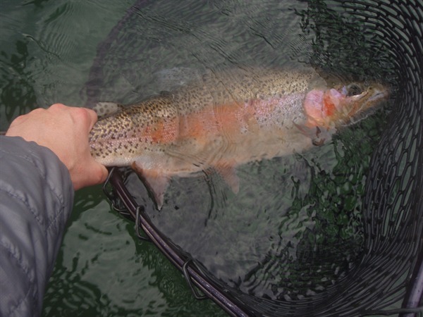 Fishing Report Image