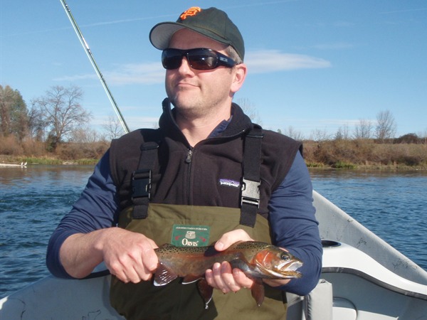 Bob with a colorful rainbow