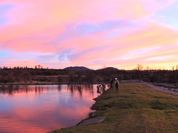 The evening light is fantastic