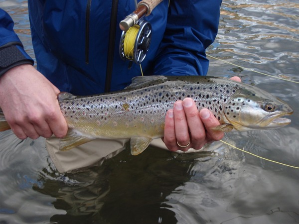 Fishing Report Image