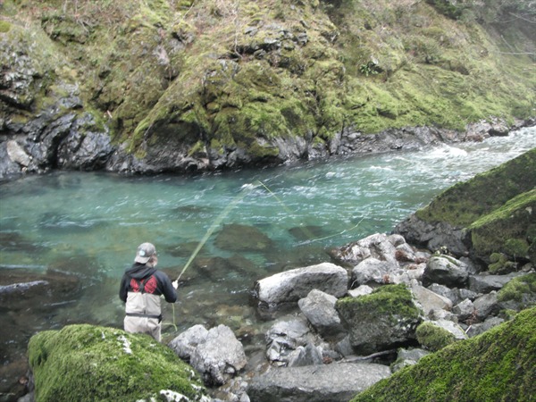 upstream casting to a sighted steelhead