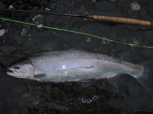 Fishing Report Image