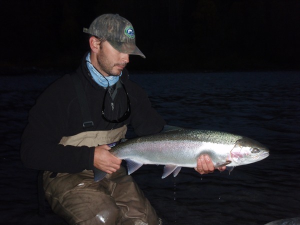 A superb wild fish on the last cast of the day