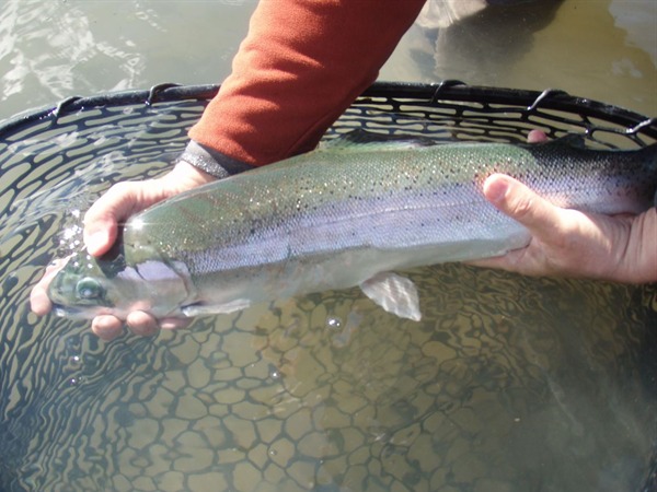 Fishing Report Image