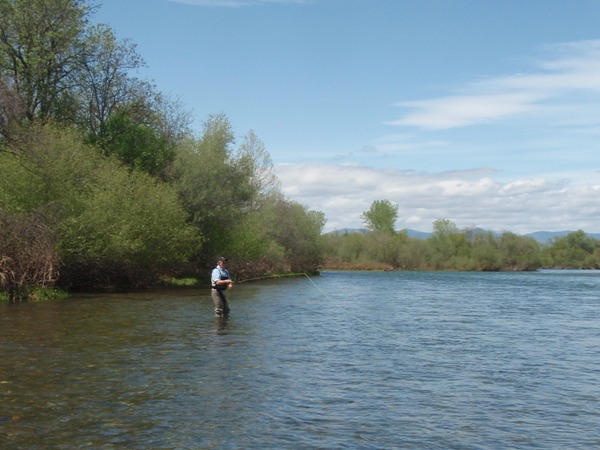 Wading and fishing dries on the Lower Sac